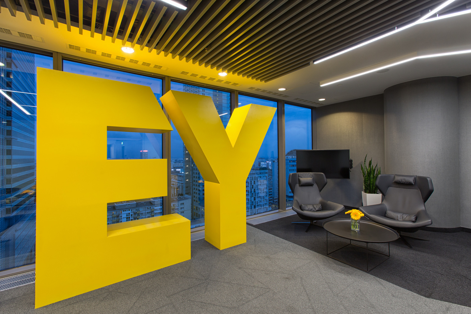 Email Campaign Specialist at EY