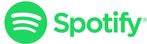 Director of Sales at Spotify