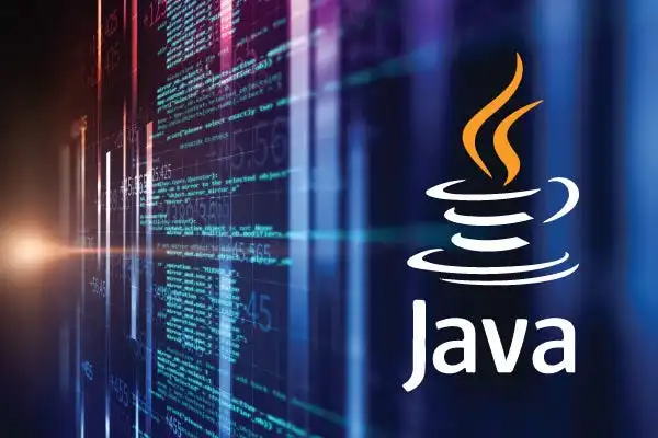 Java Lead Developer
