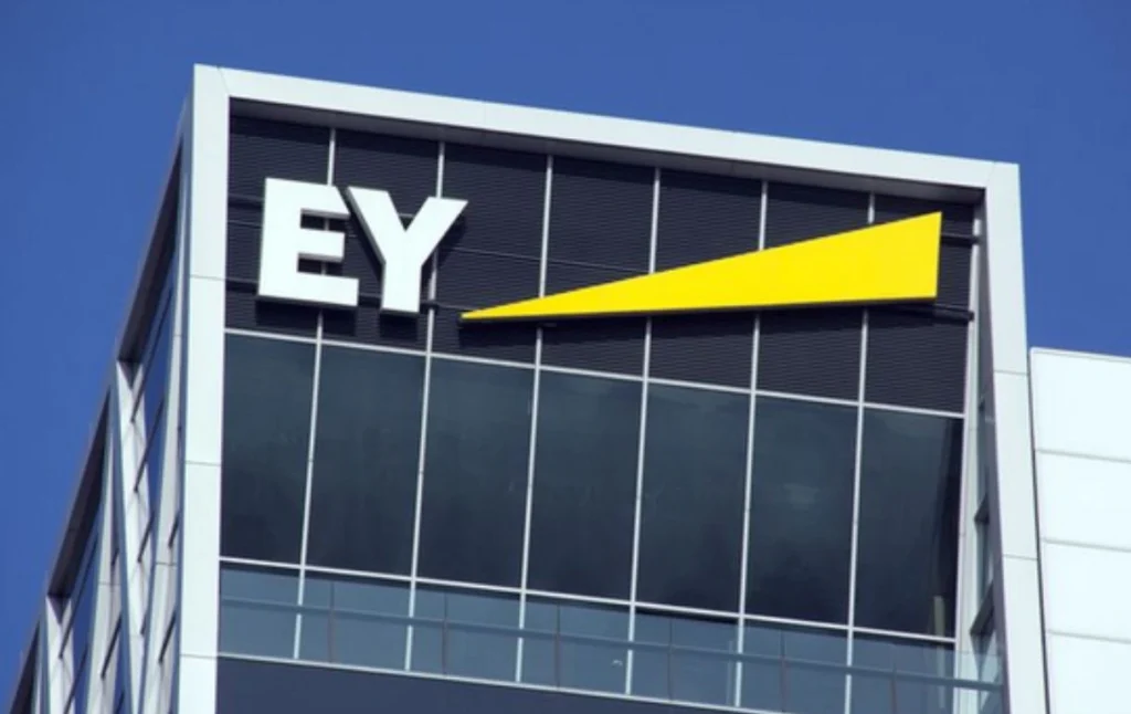 Email Campaign Specialist Job at EY